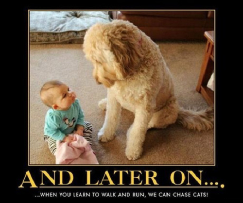 dog meme with baby on floor and cute dog looking at baby with words saying and later on...