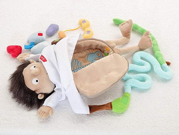 erwin the surgery doll