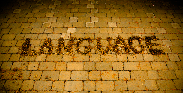 A word written on a brick surface