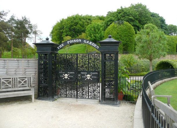 Gate entrance to the poison garden