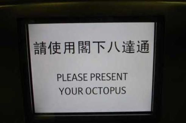 please present your octopus