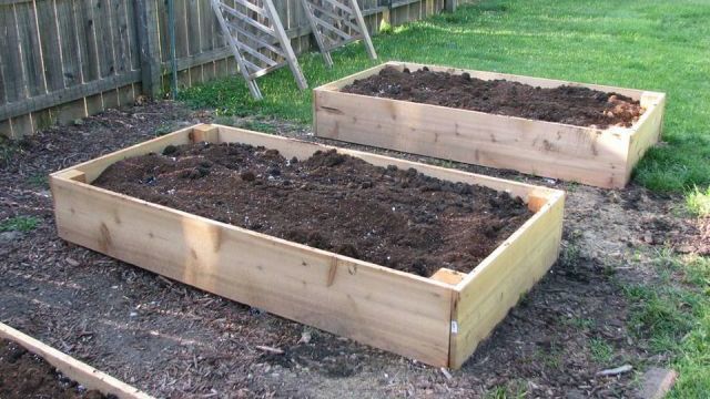 Never use treated materials for your raised bed