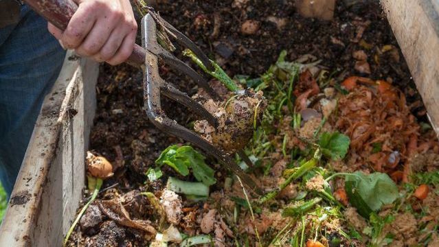 Use equal amounts of dried and green material in your compost