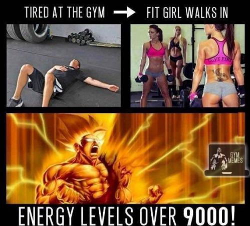 gym meme