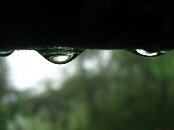 rain in cherrapunji