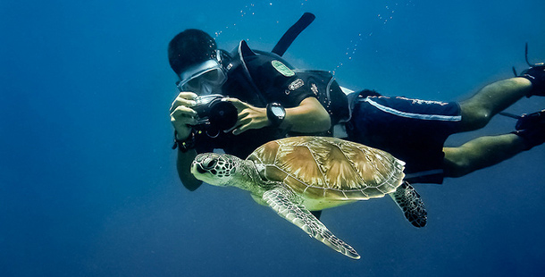 A person in scuba gear taking a picture of a turtle, best spots to scuba diving