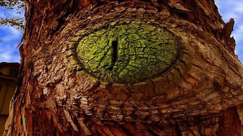eye-of-sauron-tree1