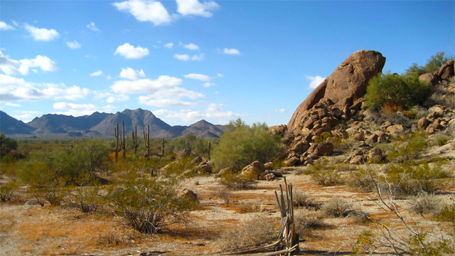 http://en.wikipedia.org/wiki/File:Sonoran_Desert_33.081359_n112.431507.JPG