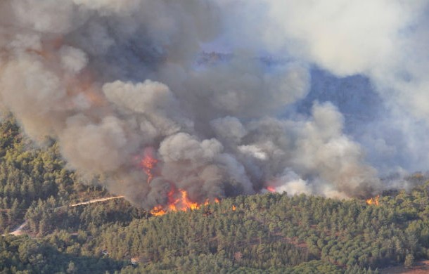 The Mount Carmel forest fire