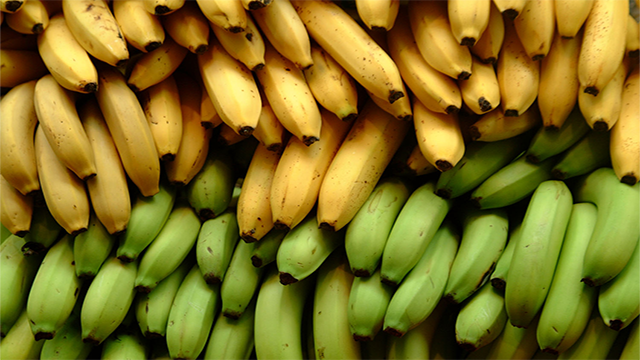 A Boatload Of Bananas