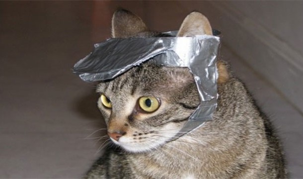 duct tape cat hat