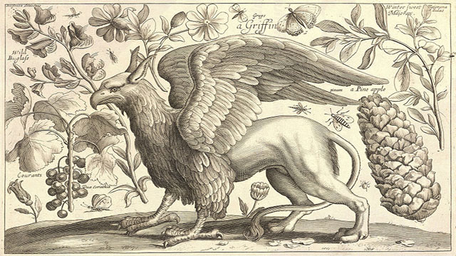 http://commons.wikimedia.org/wiki/File:Wenceslas_Hollar_-_A_griffin.jpg