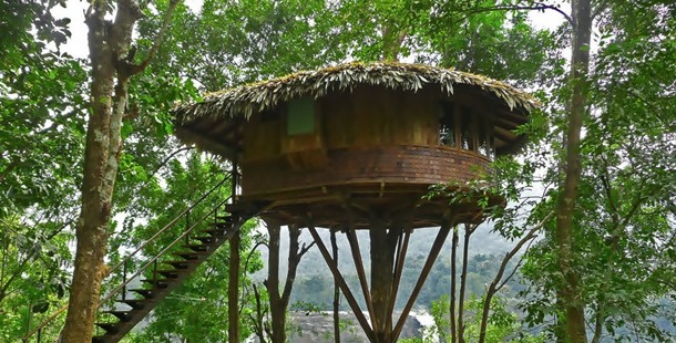 25 beautiful houses found in forests