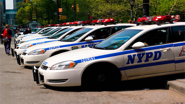 http://commons.wikimedia.org/wiki/File:NYPD_cars_line_up.jpg