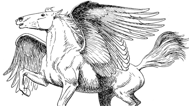 http://en.m.wikipedia.org/wiki/File:Pegasus_(PSF).png