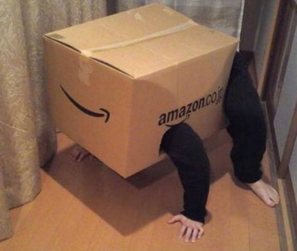 amazon box costume