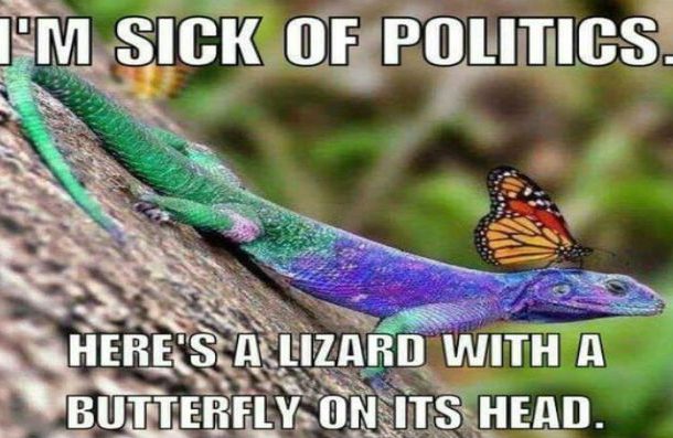 lizardpoliticalmeme