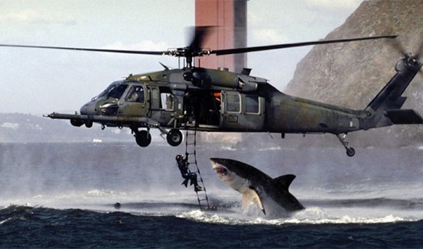 shark vs helicopter