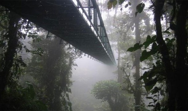 Montenegro Rainforest Bridge - Costa Rica