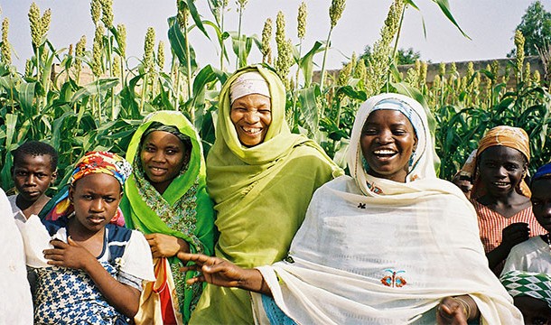 african women in field
