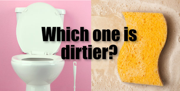 Toilet and sponge with question, "which one is dirtier? "