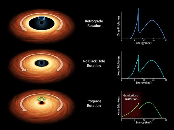 black holes spin