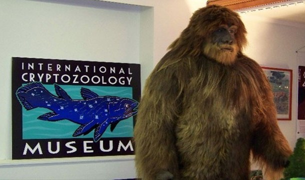 bizarre museums