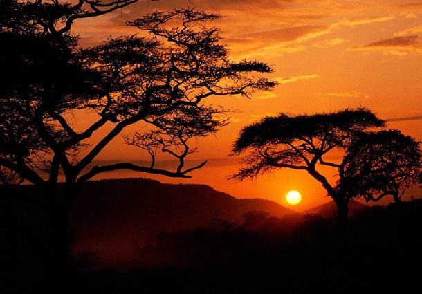 Serengeti National Park (Serengeti, Tanzania)