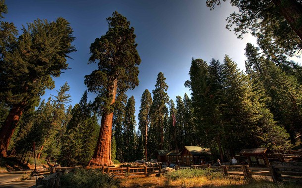 Sequoia National Park (California, United States)
