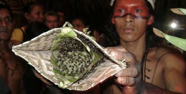 A person held age ceremonies holding a bag of insects