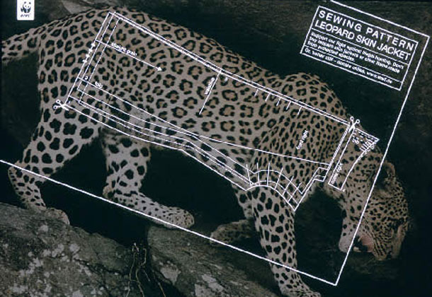 Sewing Pattern Leopard Skin Jacket