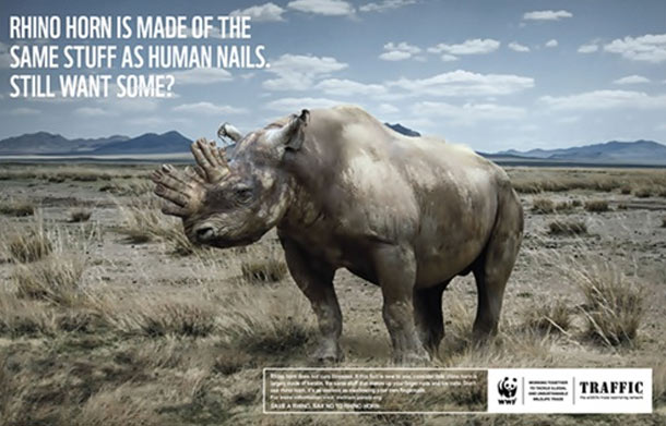 Rhino Horn Is Made Of The Same Stuff As Human Nails.