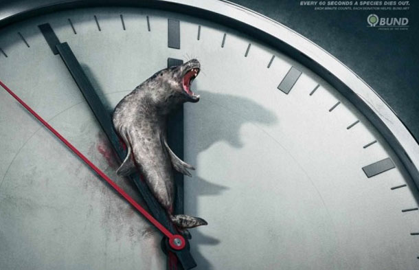 Every 60 Seconds A Species Dies Out