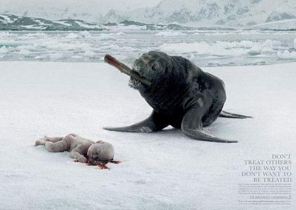 Animal ad campaign: Don't Treat Others The Way You Don't Want To Be Treated