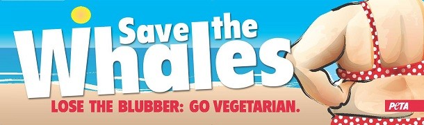 peta save the whales ad