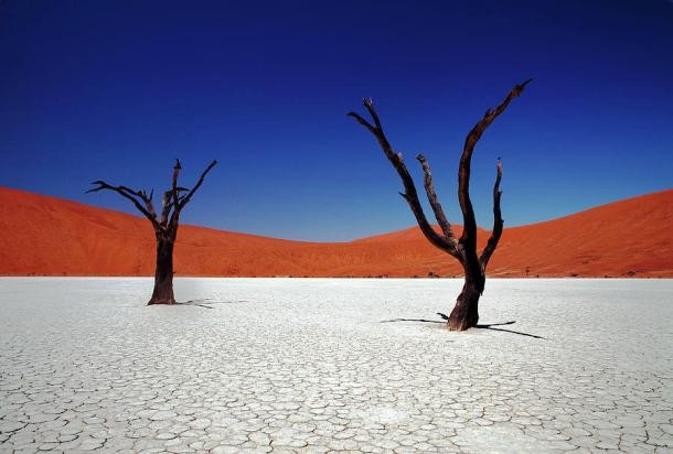 sossusvlei-in-namib-desert-namibia-igor-bilic-photography