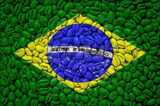 www.123rf.com 18029849-brazil-flag-on-coffee-seeds