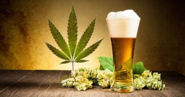 www.medicalmarijuanastocks.today Cannabis-Beer-e1399521562335