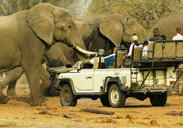 www.namibia-tours-safaris.com chobe-national-park-1-lrg