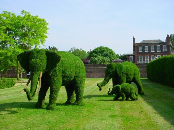 25 Impressive Topiary Sculptures You'll Want In Your Landscape