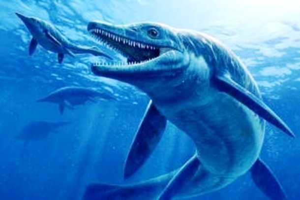 co-to-je.sk ichtyosaurus