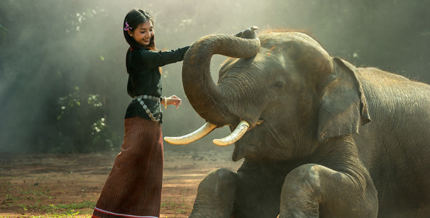 A girl standing next to and touching an elephant with its trunk curled back.