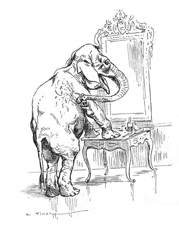 elephant mirror