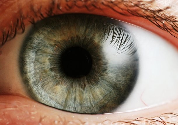 en.wikipedia.org Eye_iris