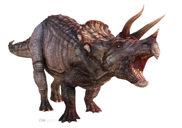 www.dinosaurfact.net Triceratops