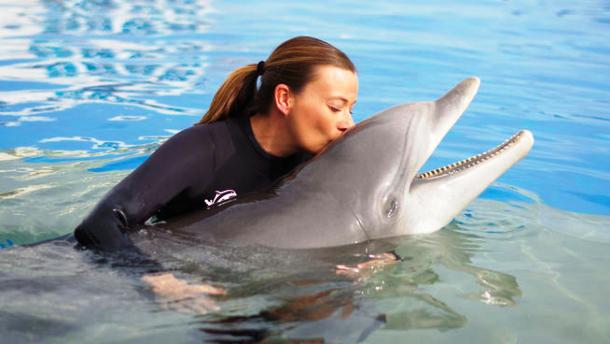 www.technologyipedia.tk Nellie-the-dolphin1