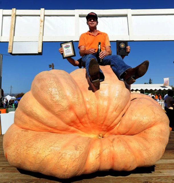 www.worldrecordacademy.com 213597_heaviest_pumpkin_Tim_Mathison