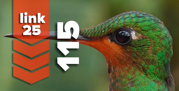 Link25 (115) - The Brilliant Hummingbird Edition