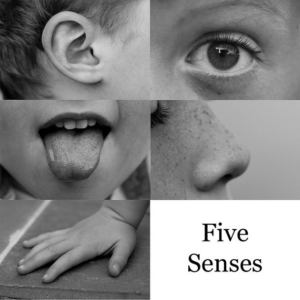3 - Five Senses