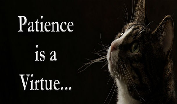 Patience-Is-a-Virtue